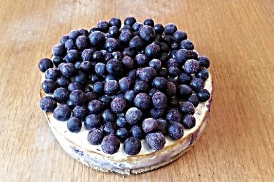 Blaubeeren-Protein Cheesecake