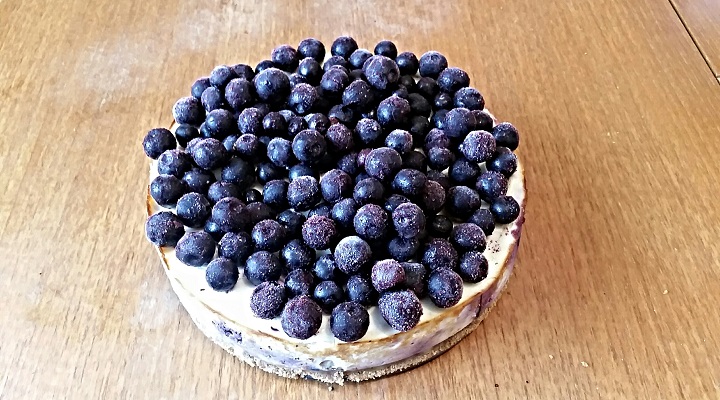 Blaubeeren-Protein Cheesecake