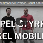 ankelmobilitet øvelser