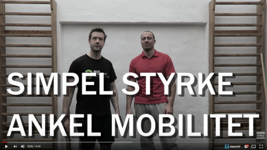 ankelmobilitet øvelser