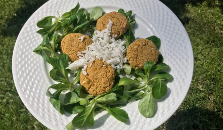 falafel di ceci