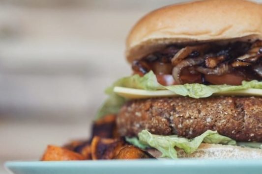 burger op een bord vegan bulk powders