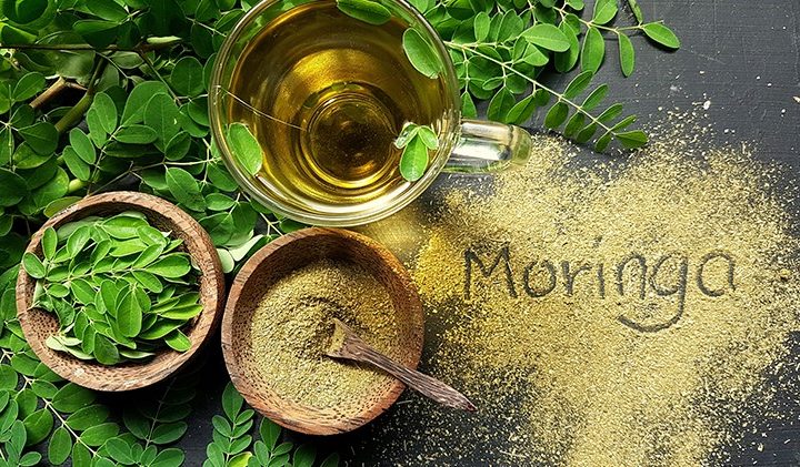 Moringa Bulk Powders