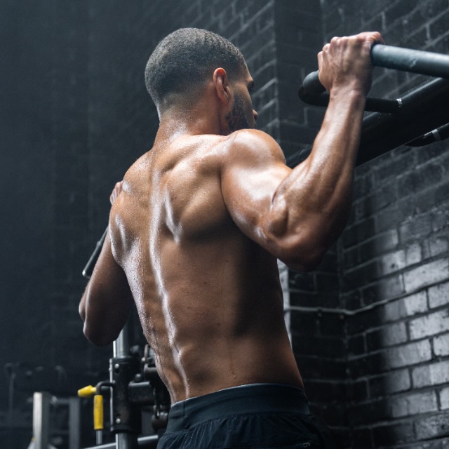 Build Muscle