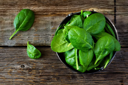 Nutrition for a Healthy Body