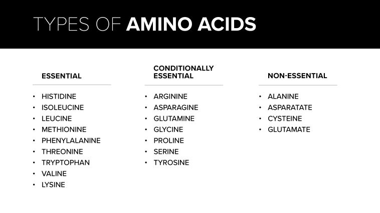 types of amino acids table