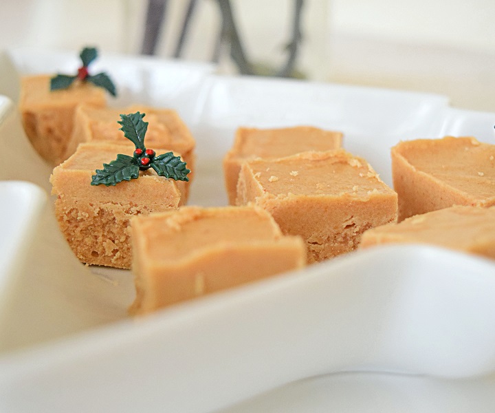 Low Carb Peanut Butter Fudge Recipe