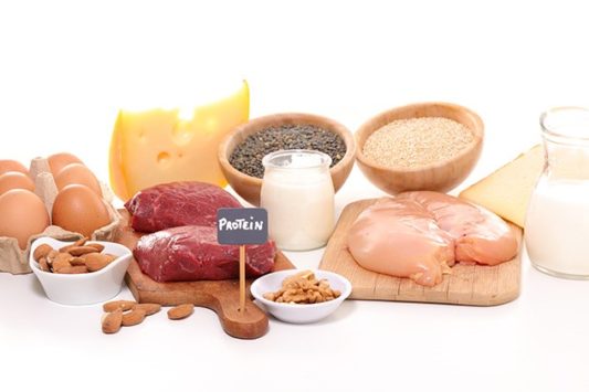 protein sources