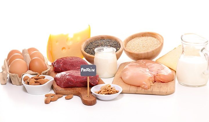 protein sources