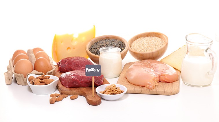 protein sources