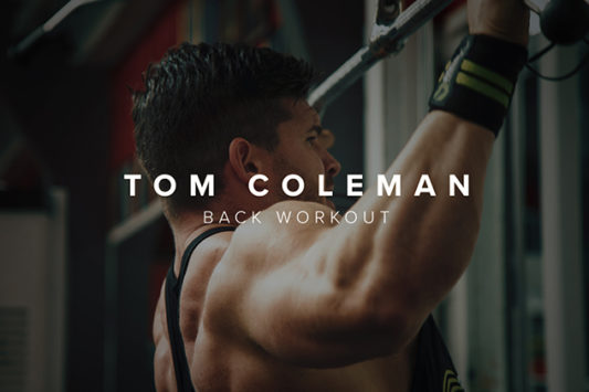 back workout