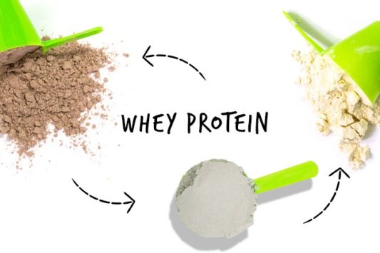 whey protein types