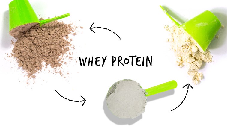 whey protein types