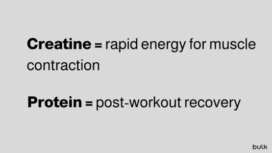 creatine vs protein